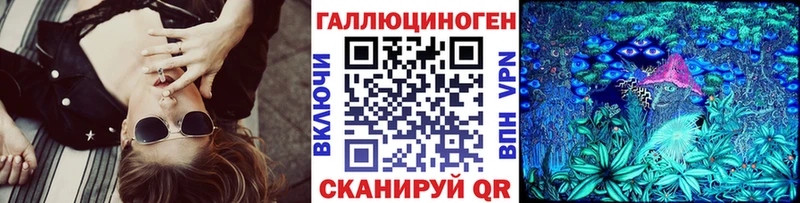 Псилоцибиновые грибы Psilocybe  Полярный 